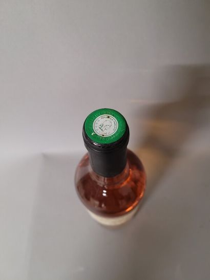 1 blle DULONG Sainte Croix du Mont 1995 -...
