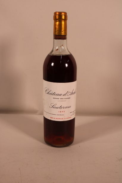 1 blle Ch. D'ARCHE Sauternes 1975 - Haute...