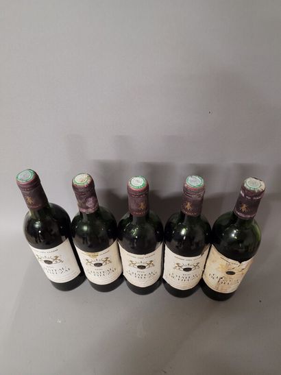 10 blles Ch. DE FIEUZAL Graves 1976
