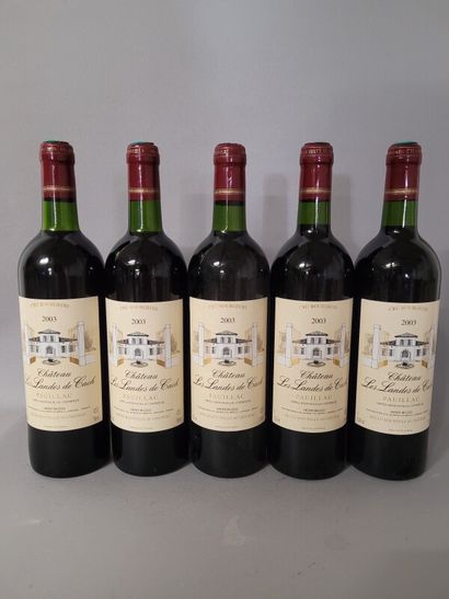 5 blles Ch. LES LANDES DE CACH Pauillac 2003...