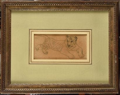 Étude de tigre Dessin au crayon noir, porte...