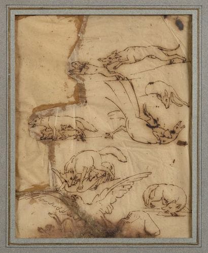 Études d’animaux divers : Chiens, renard,...