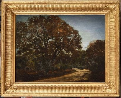 Forêt de Fontainebleau, la route Marie-Thérèse...