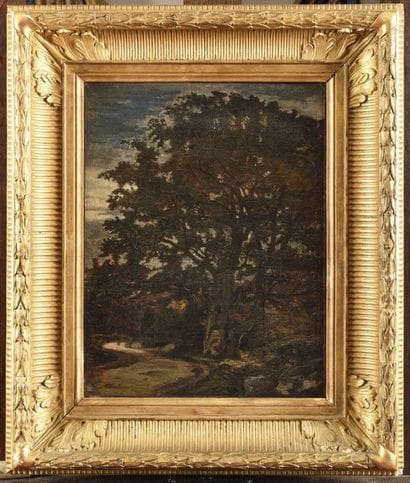 Forêt de Fontainebleau, le gros chêne Huile...