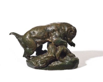 Ratel dénichant des œufs Épreuve en bronze...