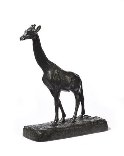 Alfred BARYE (1839 – 1882) Girafe Épreuve...