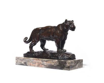Jaguar debout N°1 (terrasse naturaliste)...