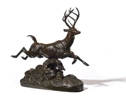 Cerf de Virginie s’élançant (agrandissement)...