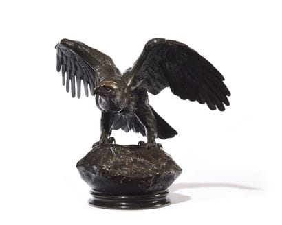 Aigle ailes étendues, bec fermés (terrasse...