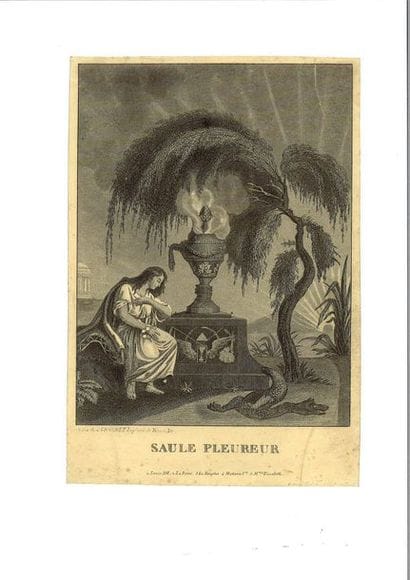 « Le Saule pleureur » Ensemble de 7 gravures...