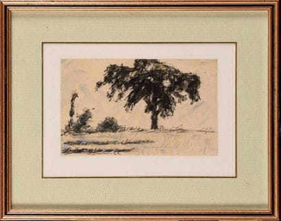 Daniel DOUROUZE (1874-1923) Paysage à l'arbre...