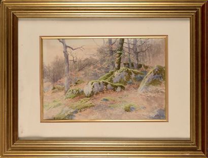 Joseph-Clément-Maxime JEANNOT (1855-?) Forêt...