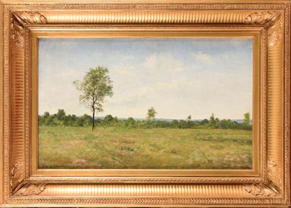 Jean DESBROSSES (1835-1906). Dans les bois...