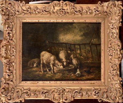Charles JACQUE (1879-1959), Moutons dans...