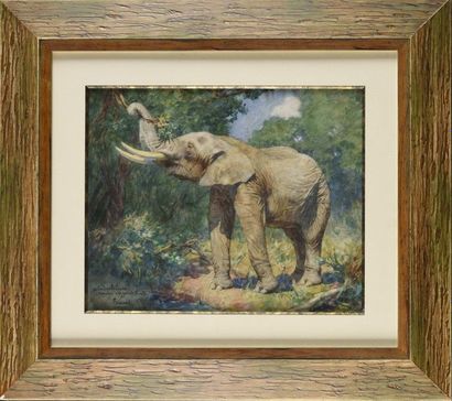 GUSTAVE SURAND (1860-1937) 