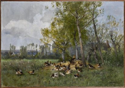 Louis Rémy MATIFAS (1847-1896) La basse cour...
