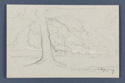 Henri HARPIGNIES (1819-1916) Study of tree...