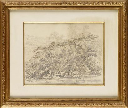 François-Louis FRANÇAIS (1814-1897) Arbres...