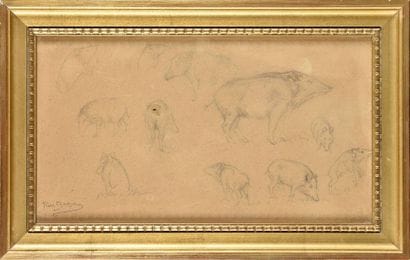 Rosa BONHEUR (1822-1899) Study of wild boars...