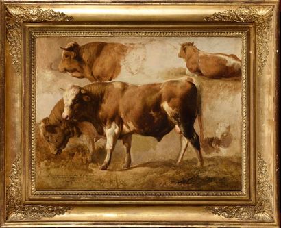 Attributed to BRASCASSAT (1804-1867) Study...
