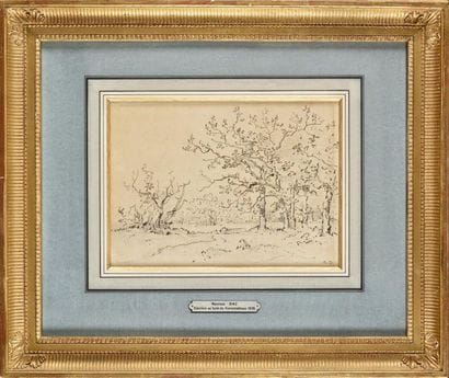 Narcissus DIAZ DE LA PENA (1807-1876) Clairière...