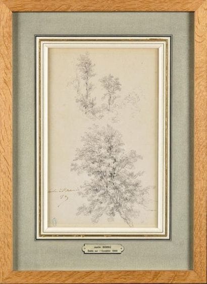 Justin Pierre OUVRIÉ (1806-1879) Saule sur...