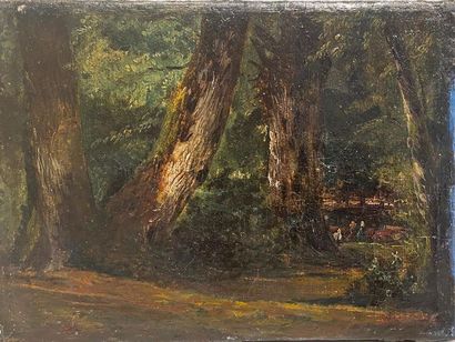 Paul HUET (1803-1869) Sous bois Oil on paper,...