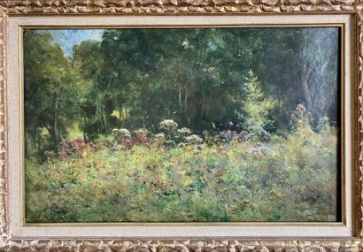 Marie Joseph Léon IWILL (1850-1923) Prairie...