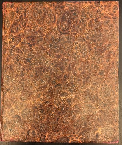[DE LA BIBLIOTHEQUE DU PRINCE GOLITZIN]

[DE...