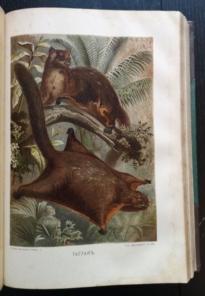 BREM A. (1829-1884)

La Vie des animaux....