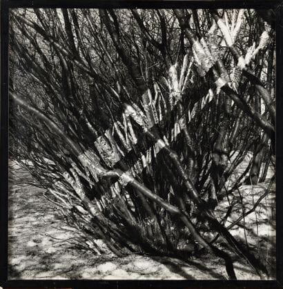 INFANTE Francisco (1943)

Photographie

50...