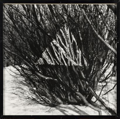 INFANTE Francisco (1943)

Photographie

Signé...