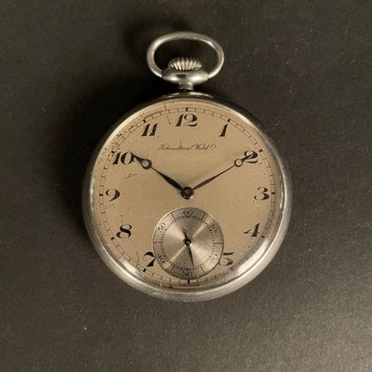 
INTERNATIONAL WATCH COMPANY. 

Pocket watch...