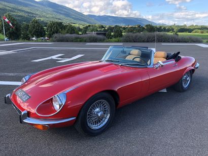 1971 JAGUAR TYPE E
Châssis n° 1S20046BW

Carte...