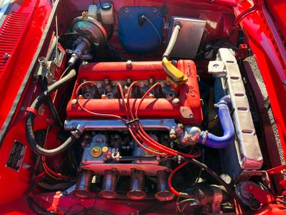 1970 ALFA ROMEO GIULIA
Junior GTAM REPLICA...