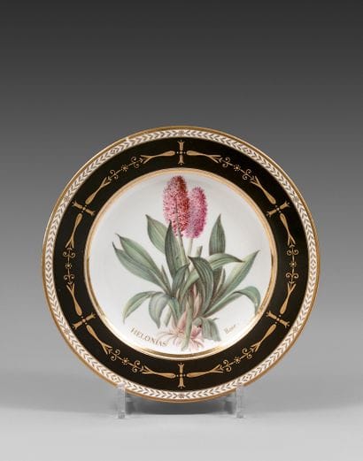 
SÈVRES

Porcelain plate with polychrome...