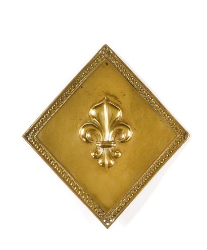 PLAQUE DE SHAKO DES VOLONTAIRES ROYAUX, MODELE...