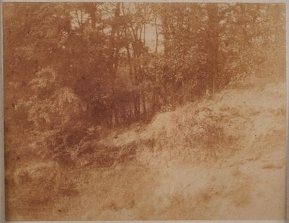 Charles MARVILLE (1816-1879)
Etude d'arbres...