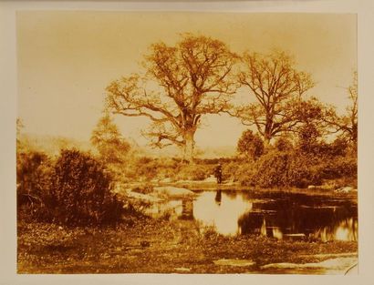 Constant FAMIN (1827-1888)
La mare aux fées...