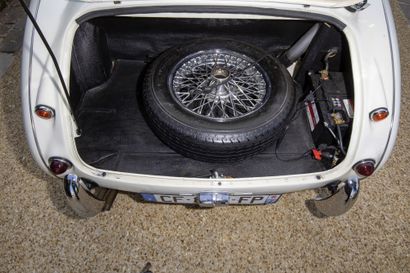 1959 AUSTIN HEALEY 
