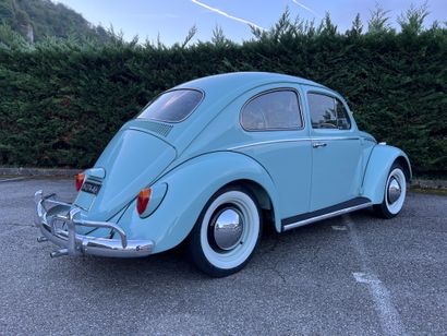 1964 VOLKSWAGEN 
