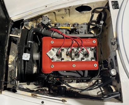 1962 ALFA ROMEO GIULIETTA SS
