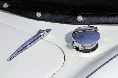 1959 AUSTIN HEALEY 
