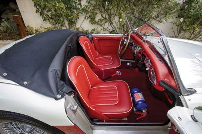 1959 AUSTIN HEALEY 
