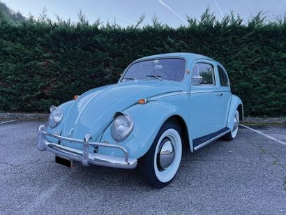 1964 VOLKSWAGEN 
