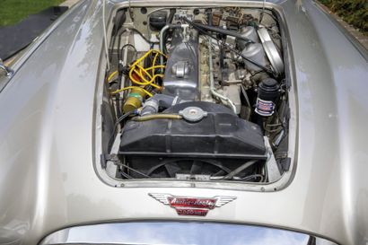1963 AUSTIN HEALEY 
N° de châssis : HBJ7L22355...