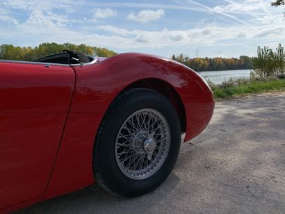 1955 AUSTIN HEALEY 
N° de série 227055

Exemplaire...