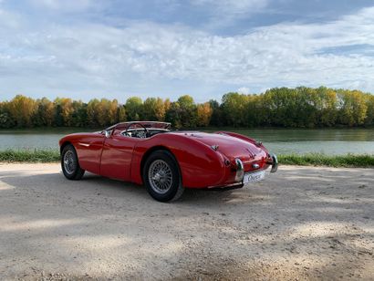 1955 AUSTIN HEALEY 
N° de série 227055

Exemplaire...