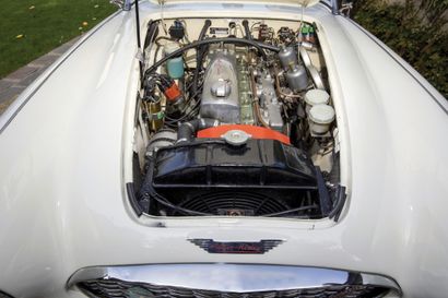 1959 AUSTIN HEALEY 
