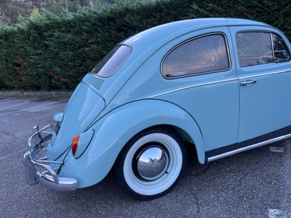 1964 VOLKSWAGEN 
